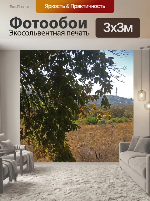 Фотообои низко висящая ветка дерева