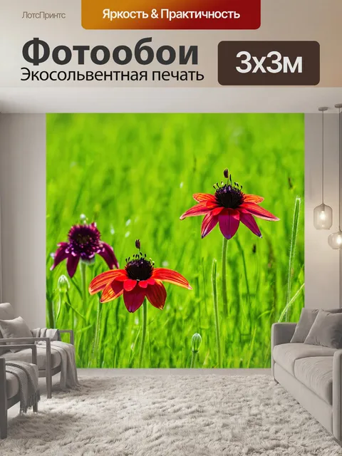 Фотообои красные рябчики, растущие на зелёном лугу, их яркие цвета контрастируют с природой