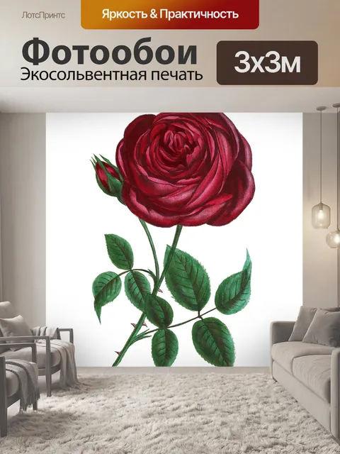Фотообои Клипарт старинный цветок розы