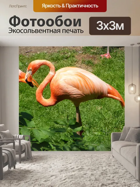 Фотообои Розовый Фламинго