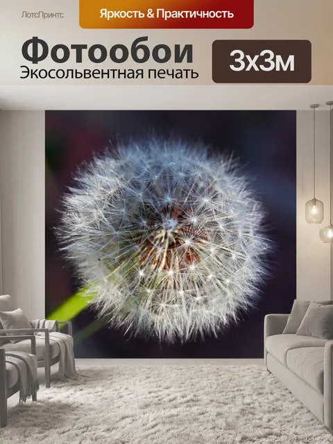 Фотообои деталь на белой головке семени одуванчик