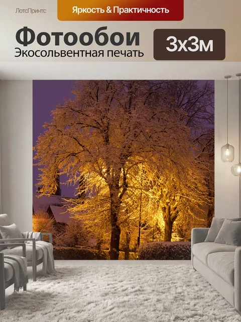 Фотообои заснеженных деревьев ночью