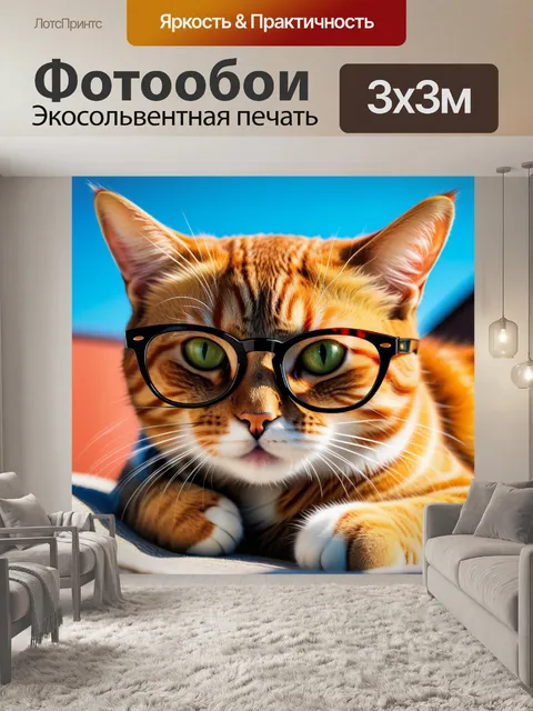 Фотообои загорающий кот в очках