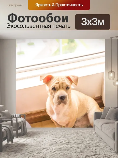 Фотообои Собака