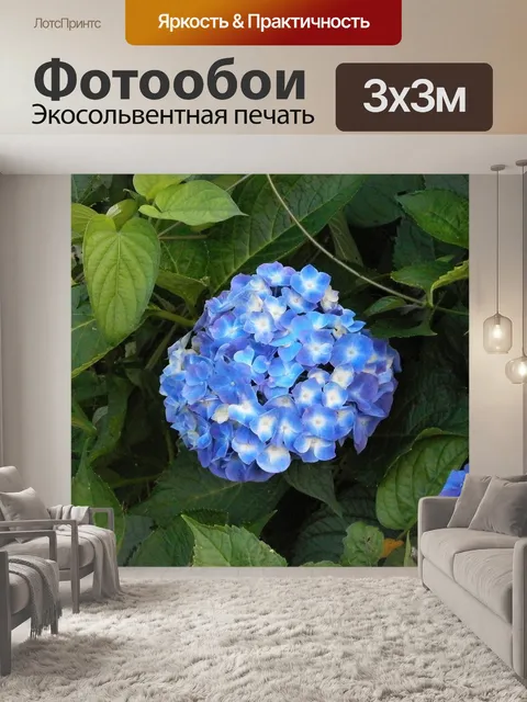 Фотообои Гортензия