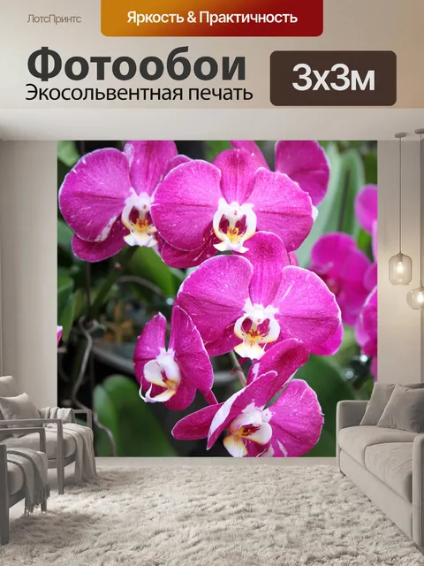 Фотообои Красный цветок орхидеи цветут цветы
