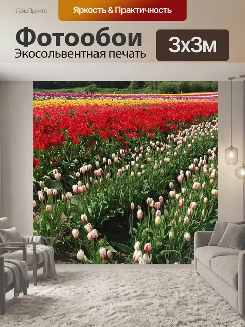 Фотообои Тюльпаны