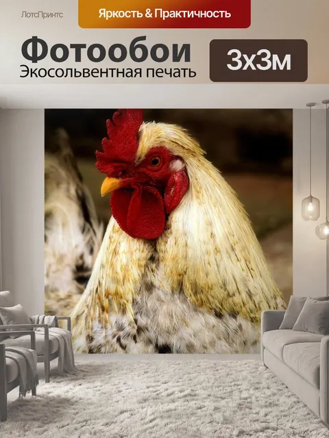 Фотообои Перья