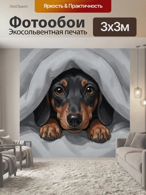 Фотообои Такса под серым одеялом