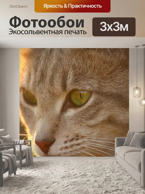 Фотообои Кот