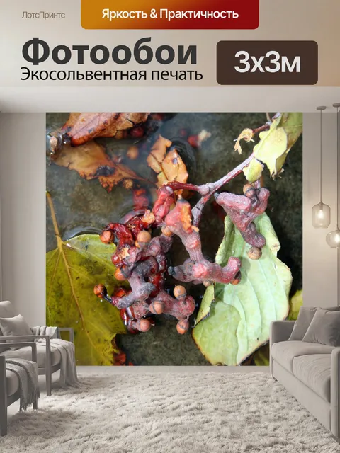 Фотообои Японский изюм и листья