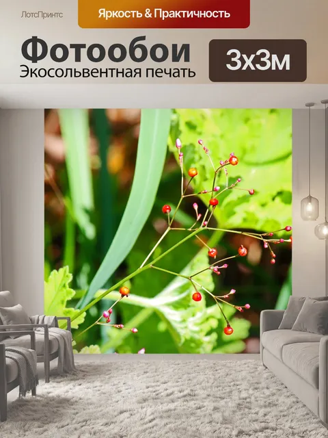 Фотообои Жемчужина опара с нежными красными семеч