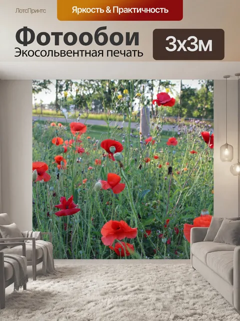Фотообои Красочные полевые цветы Красные маки
