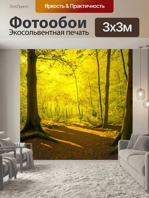 Фотообои мягкий желтый свет, проникающий через листву деревьев, создаёт прекрасный узор на земле в лесу