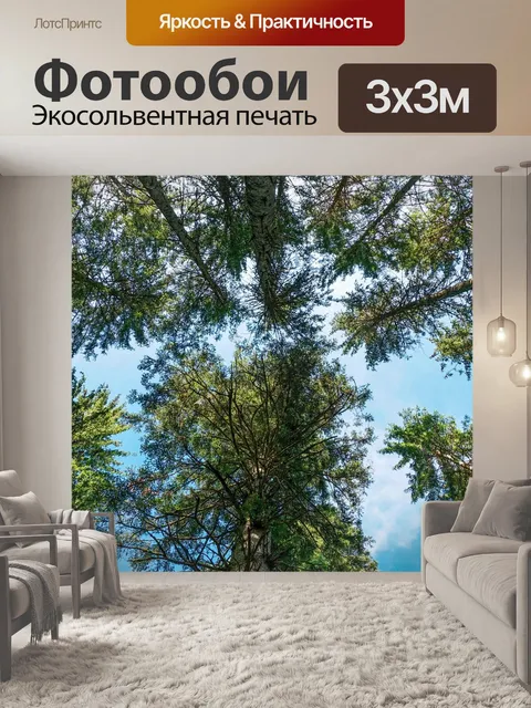 Фотообои Лес