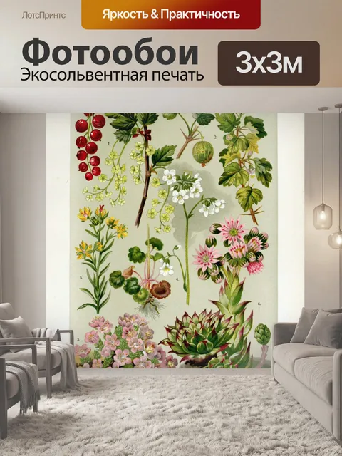 Фотообои Цветочная иллюстрация полевых цветов ста