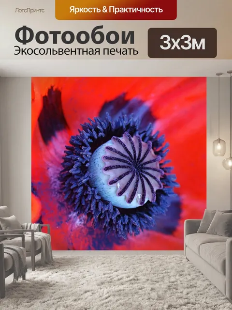 Фотообои Красный мак