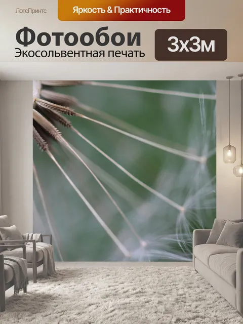 Фотообои Одуванчик