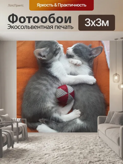 Фотообои Котята