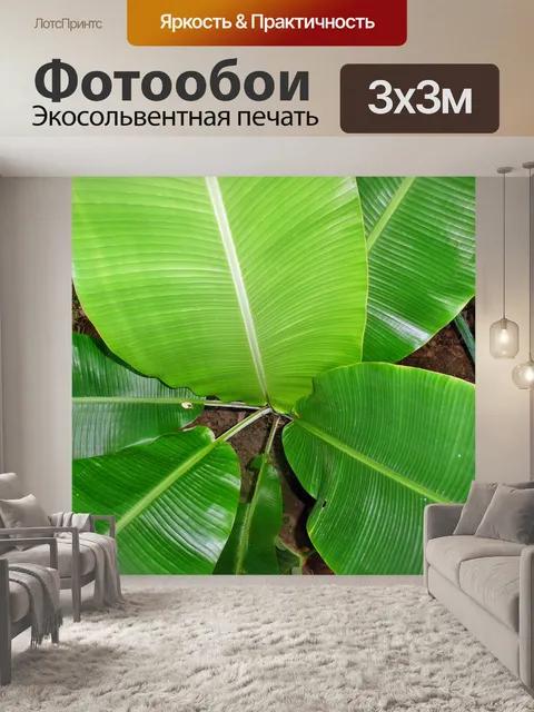 Фотообои Банановые листья