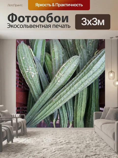 Фотообои полотенце тыквы тыква губка