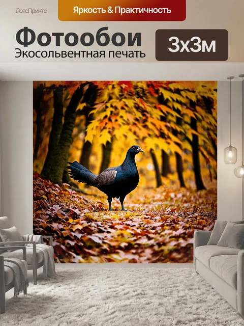 Фотообои тетерев крадется через густую подлесок