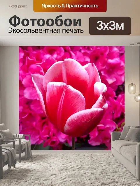 Фотообои Тюльпан