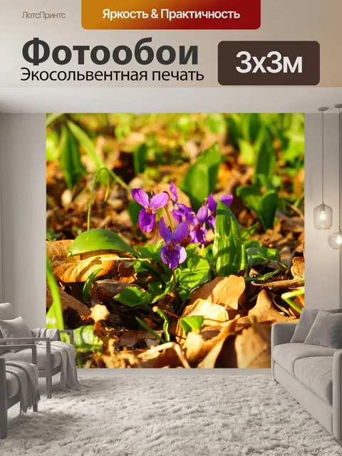 Фотообои Лесные фиалки