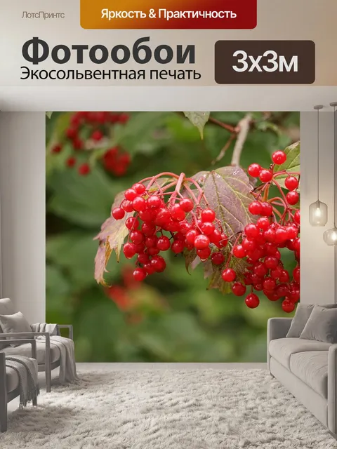 Фотообои Ягода