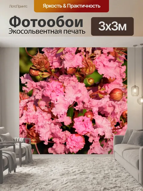 Фотообои Розовый Креп Мирт Макро