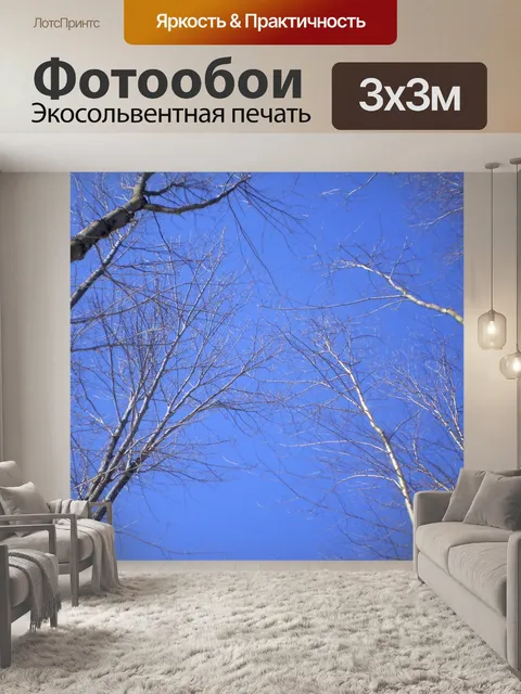 Фотообои Деревья на высшем уровне