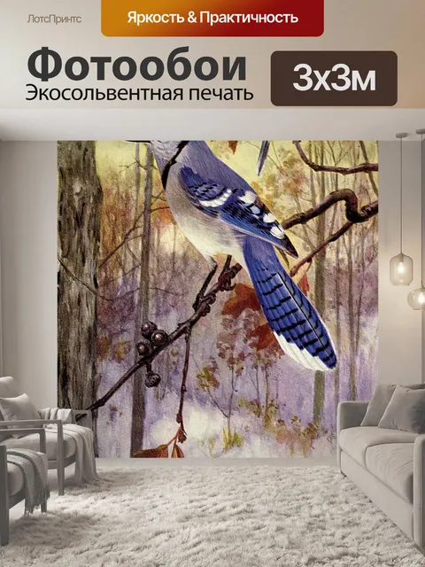 Фотообои Голубая сойка Винтаж птица Иллюстрация