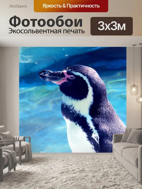 Фотообои Пингвин