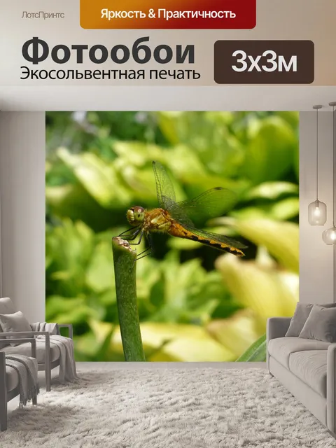 Фотообои Зеленый дракон лету