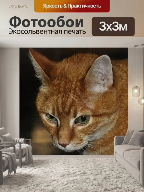 Фотообои Кошка