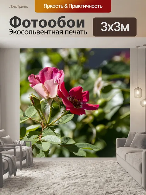 Фотообои сладкие розы