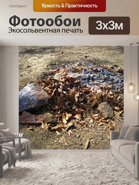 Фотообои мертвые листья на сгоревшем угле и золе