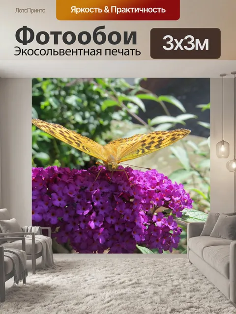 Фотообои Бабочка