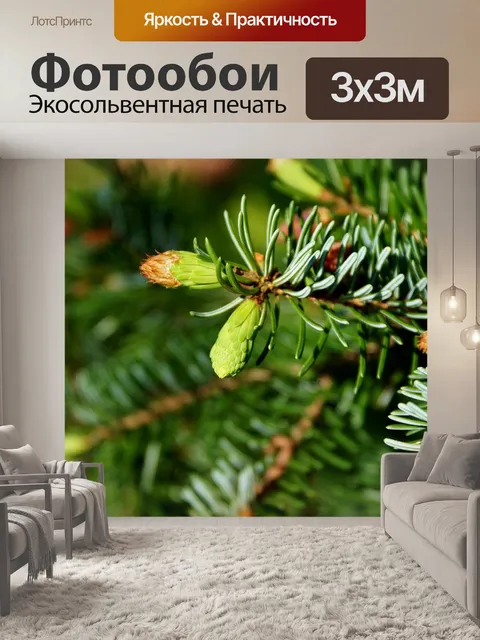 Фотообои Еловая ветка