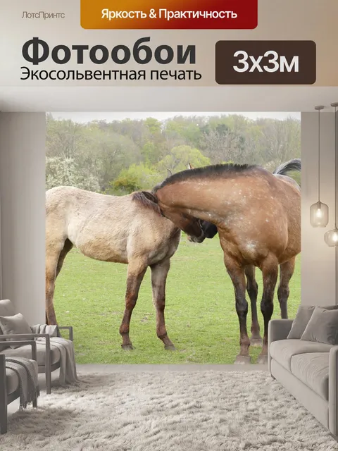 Фотообои Лошади