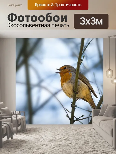 Фотообои Робин