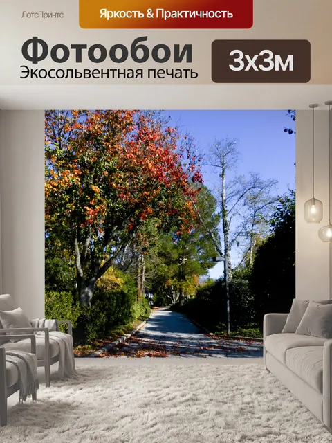 Фотообои Осенняя прогулка