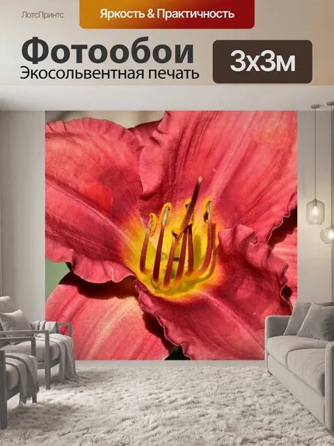 Фотообои Красный день лилии макро