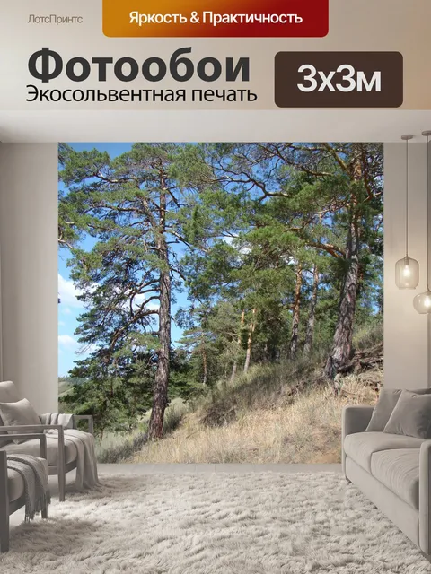 Фотообои Склон