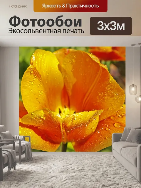Фотообои Желтый тюльпан