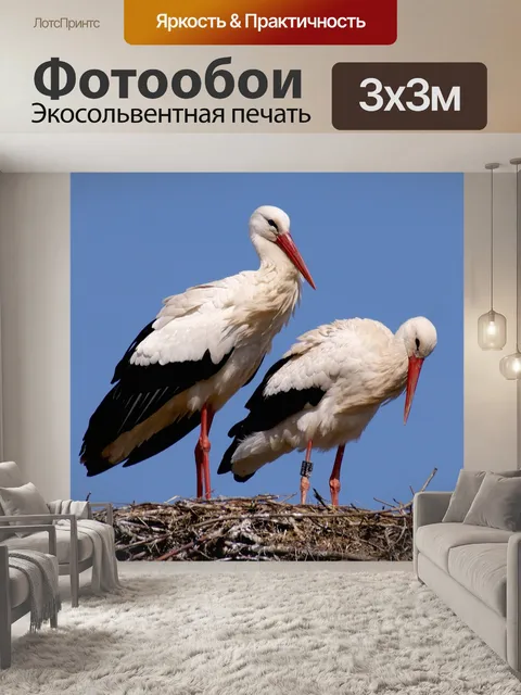 Фотообои Аист