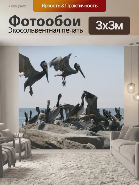 Фотообои Пеликаны
