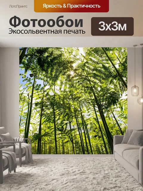 Фотообои папоротник