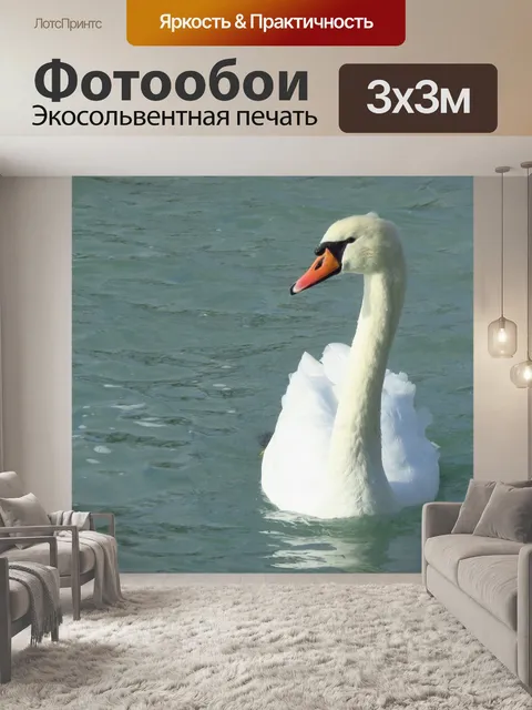 Фотообои Лебедь
