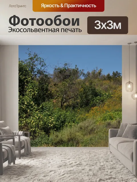 Фотообои Hillside полевых цветов
